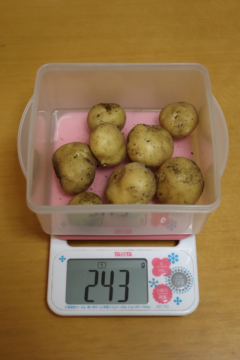 f:id:tomato_1:20211213035448j:plain