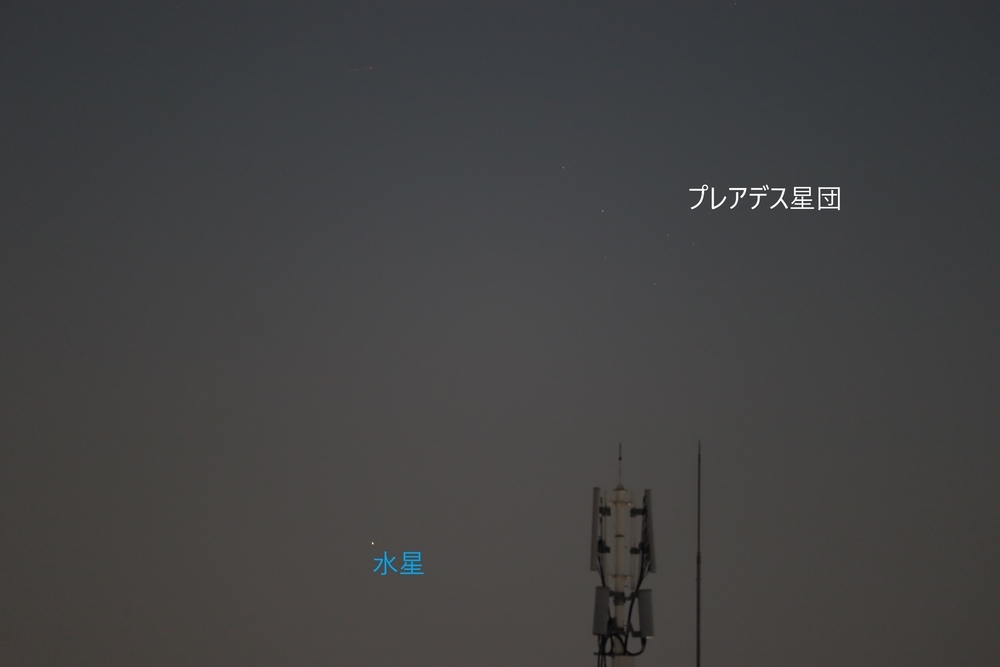 f:id:tomato_1:20211222001346j:plain