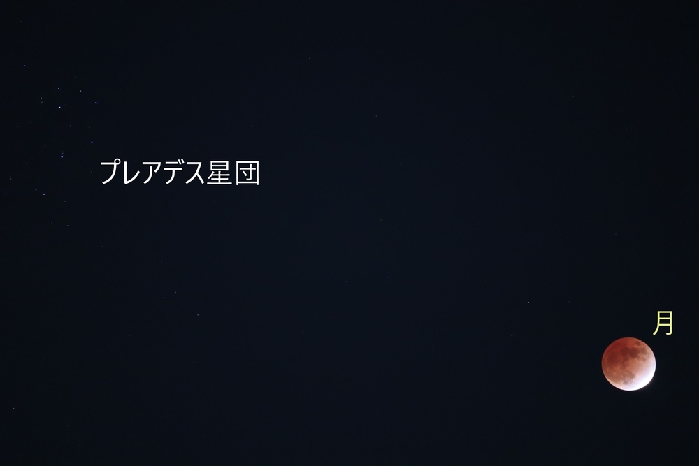 f:id:tomato_1:20211223034628j:plain
