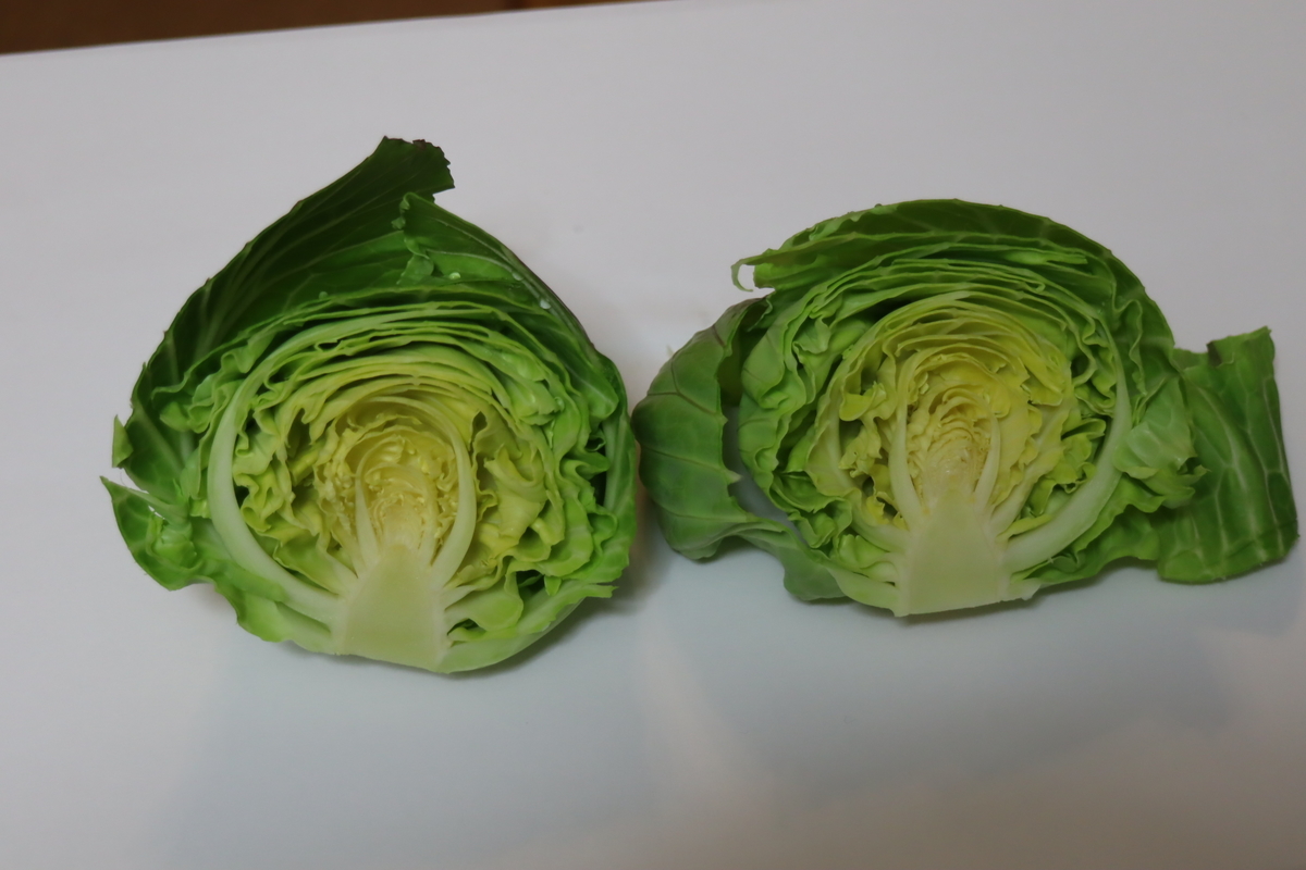 f:id:tomato_1:20211225234149j:plain