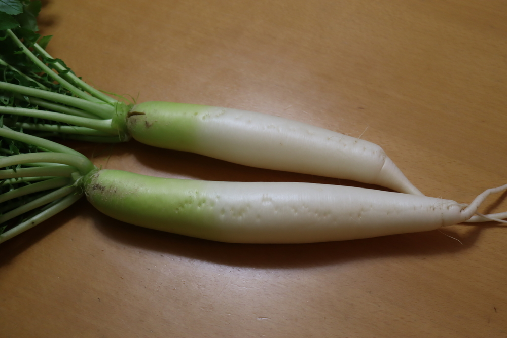 f:id:tomato_1:20211226000032j:plain