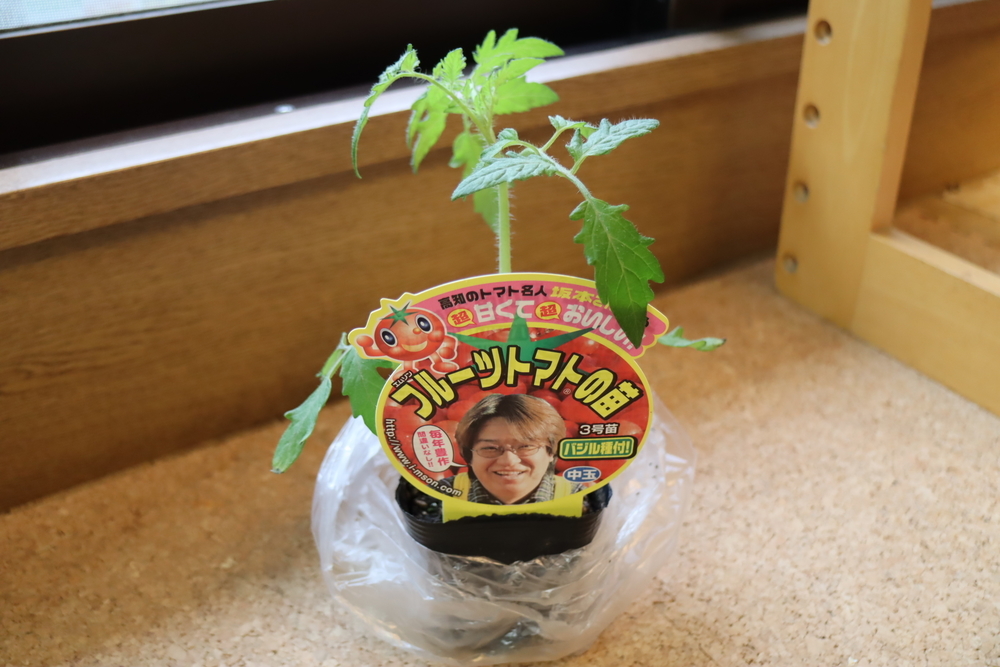 f:id:tomato_1:20211226005357j:plain