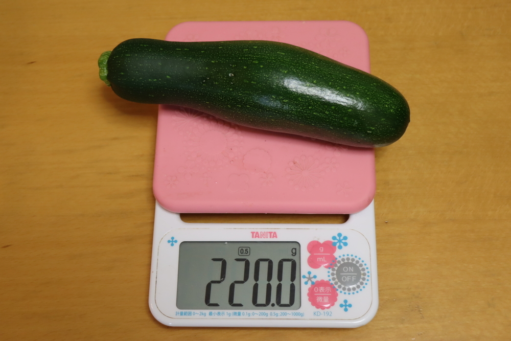 f:id:tomato_1:20211226214444j:plain