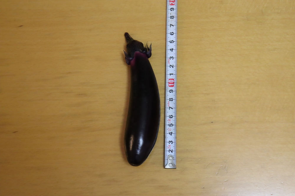 f:id:tomato_1:20211226220256j:plain