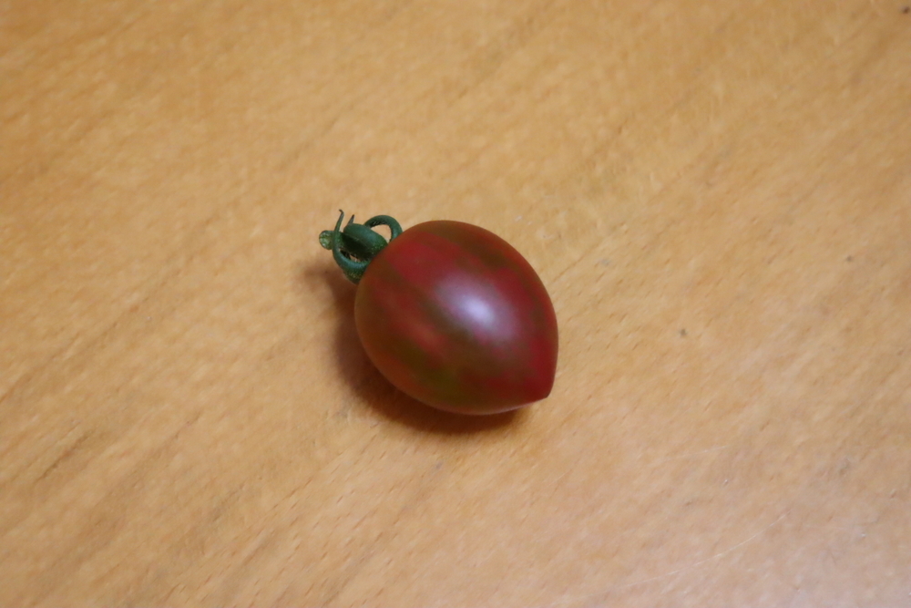 f:id:tomato_1:20211226233922j:plain