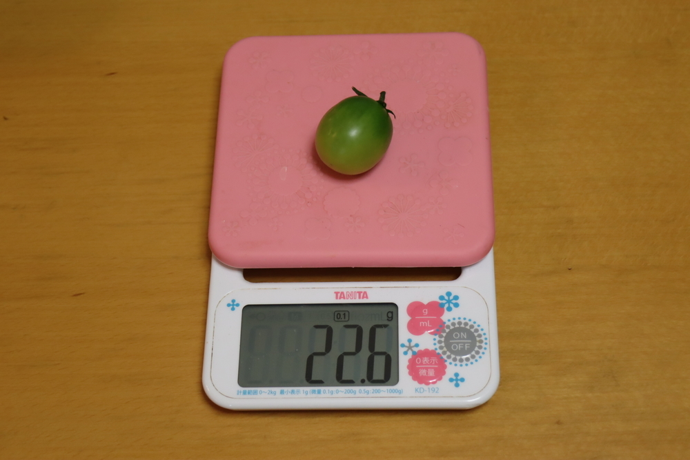 f:id:tomato_1:20211228002926j:plain