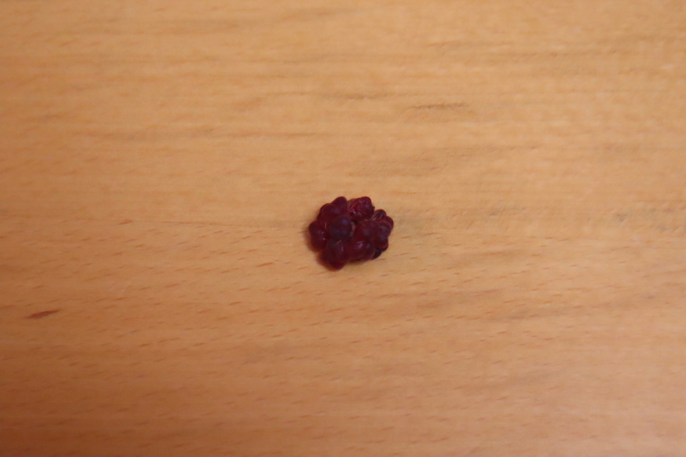 f:id:tomato_1:20211228004619j:plain