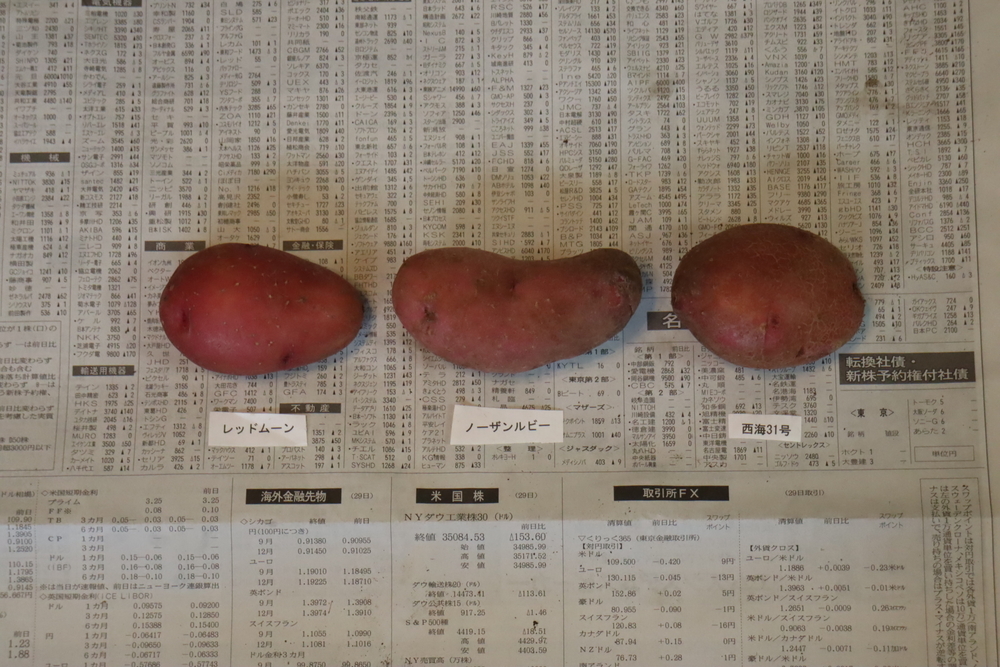 f:id:tomato_1:20211228010501j:plain
