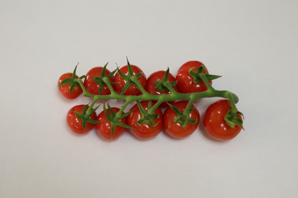 f:id:tomato_1:20211228012051j:plain