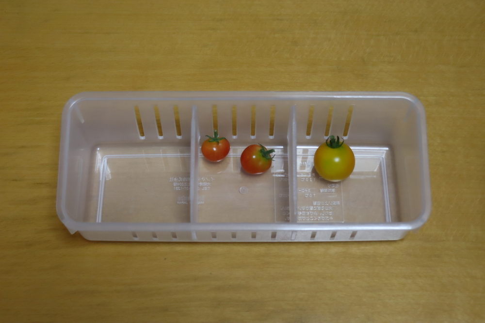 f:id:tomato_1:20211228182143j:plain