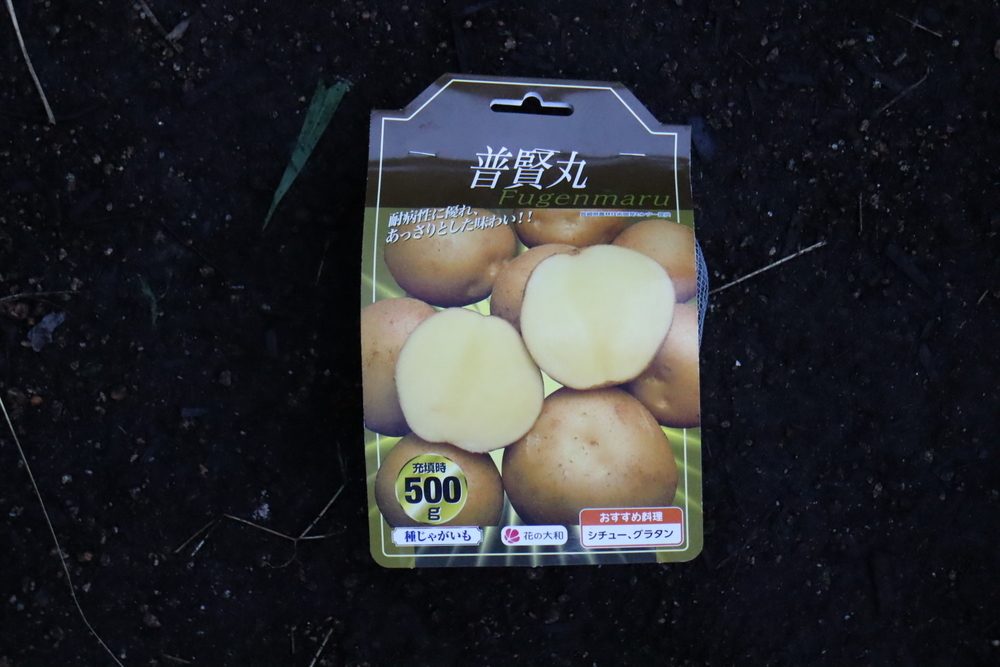 f:id:tomato_1:20211228183751j:plain
