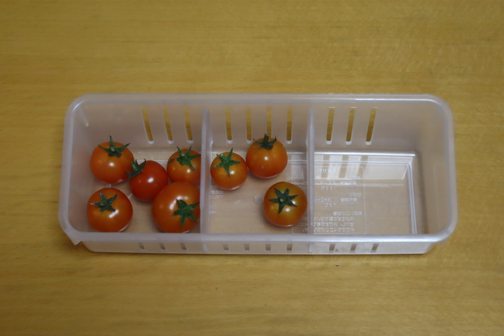 f:id:tomato_1:20211228202646j:plain