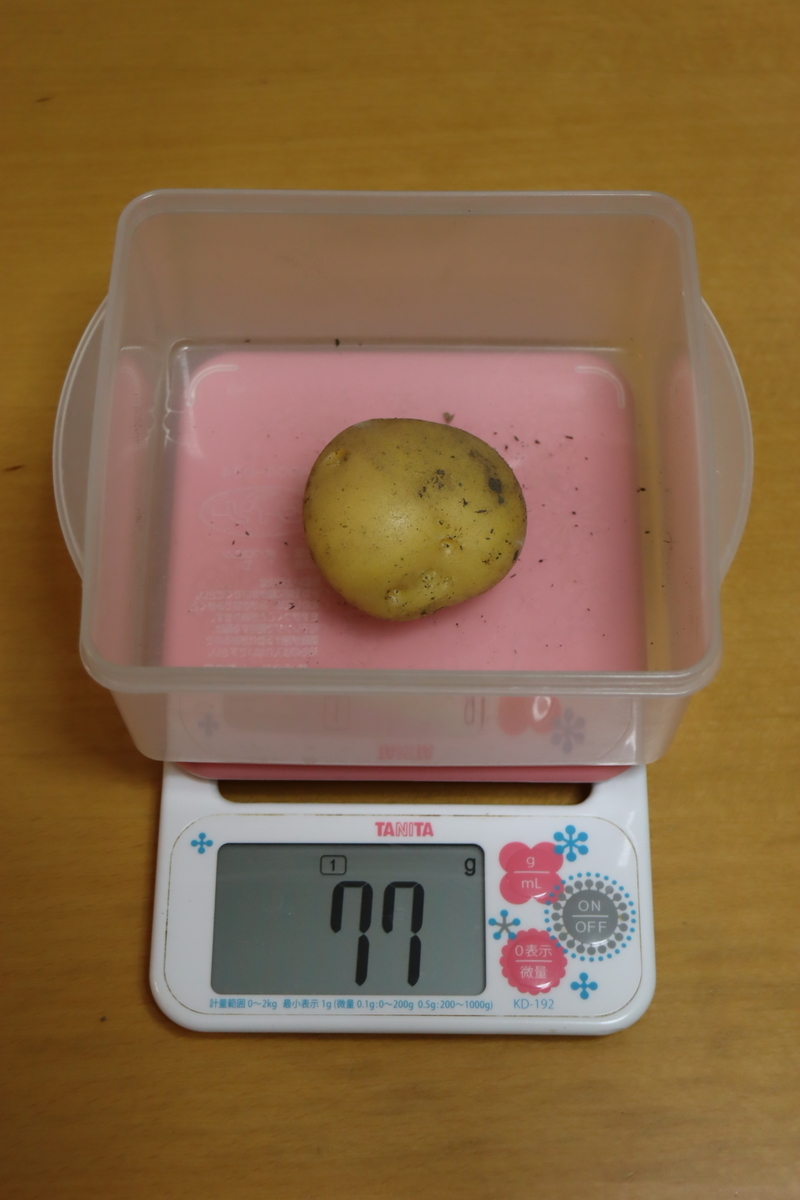f:id:tomato_1:20220110035054j:plain