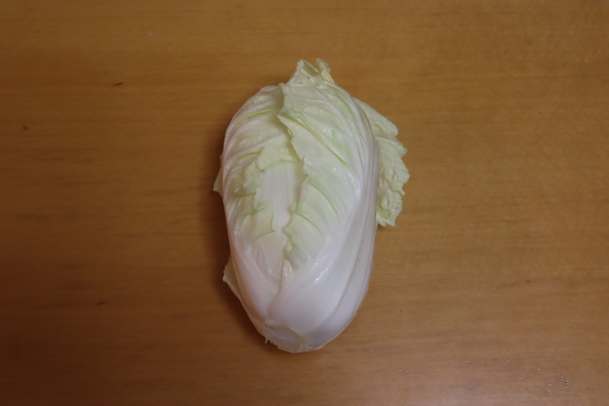 f:id:tomato_1:20220116033545j:plain