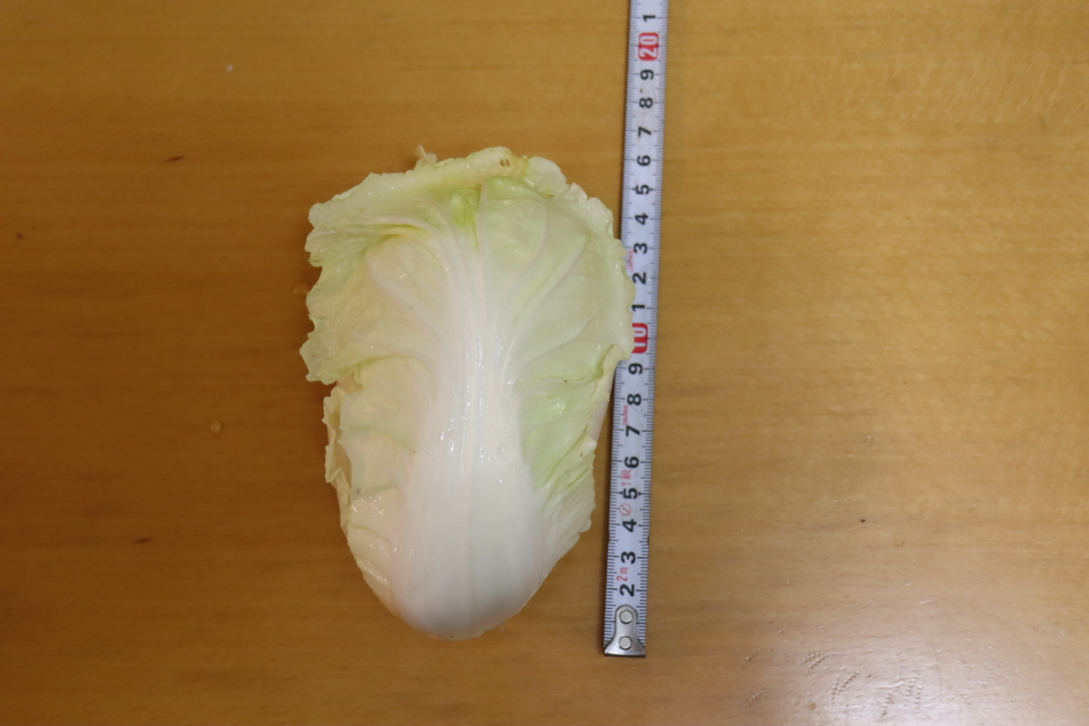 f:id:tomato_1:20220116034101j:plain