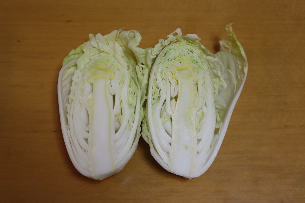 f:id:tomato_1:20220116034117j:plain