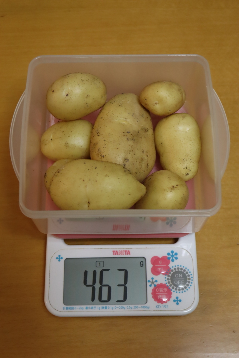 f:id:tomato_1:20220118033120j:plain