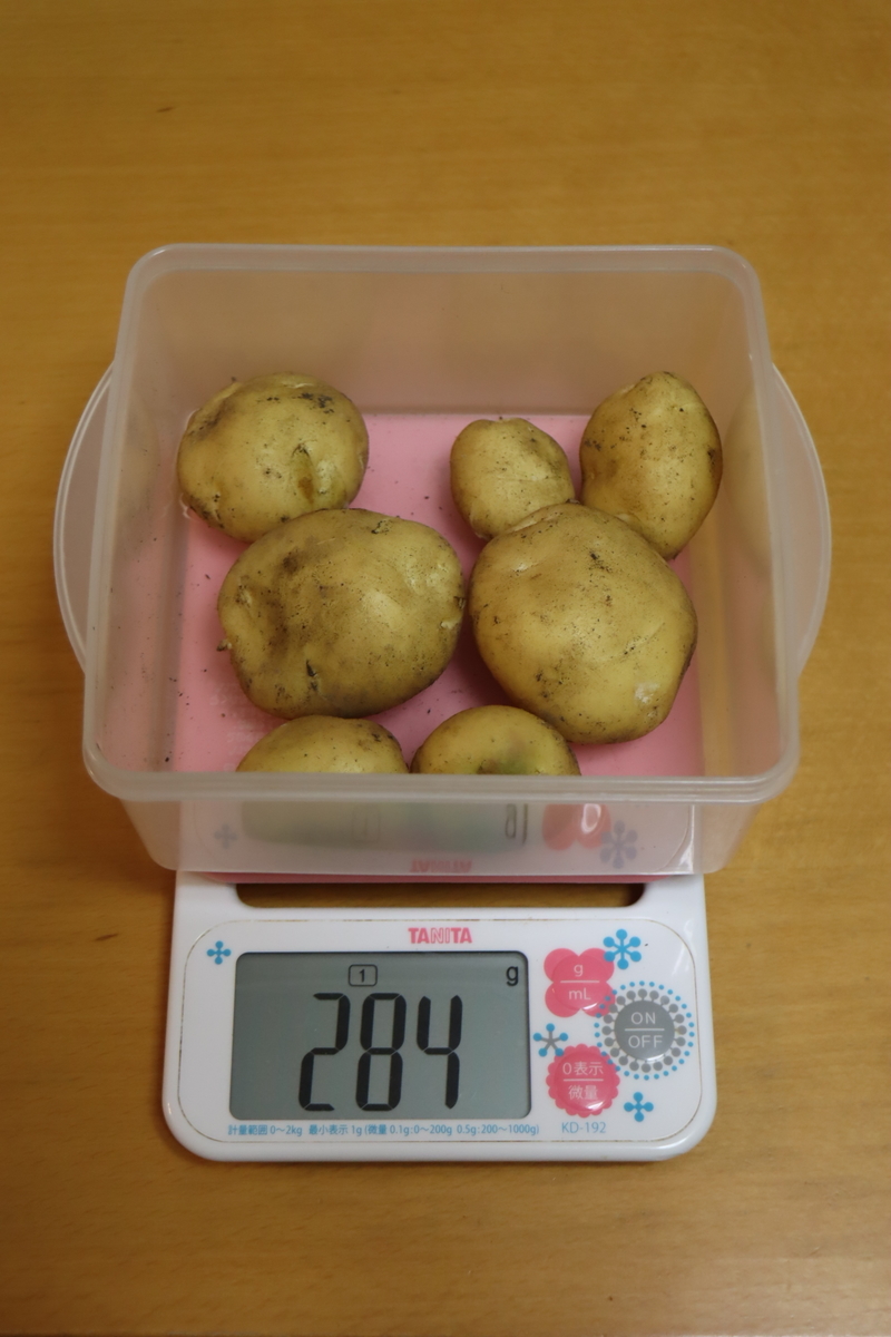 f:id:tomato_1:20220125034212j:plain