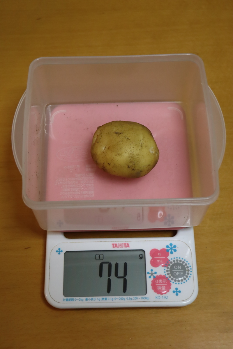 f:id:tomato_1:20220125034222j:plain