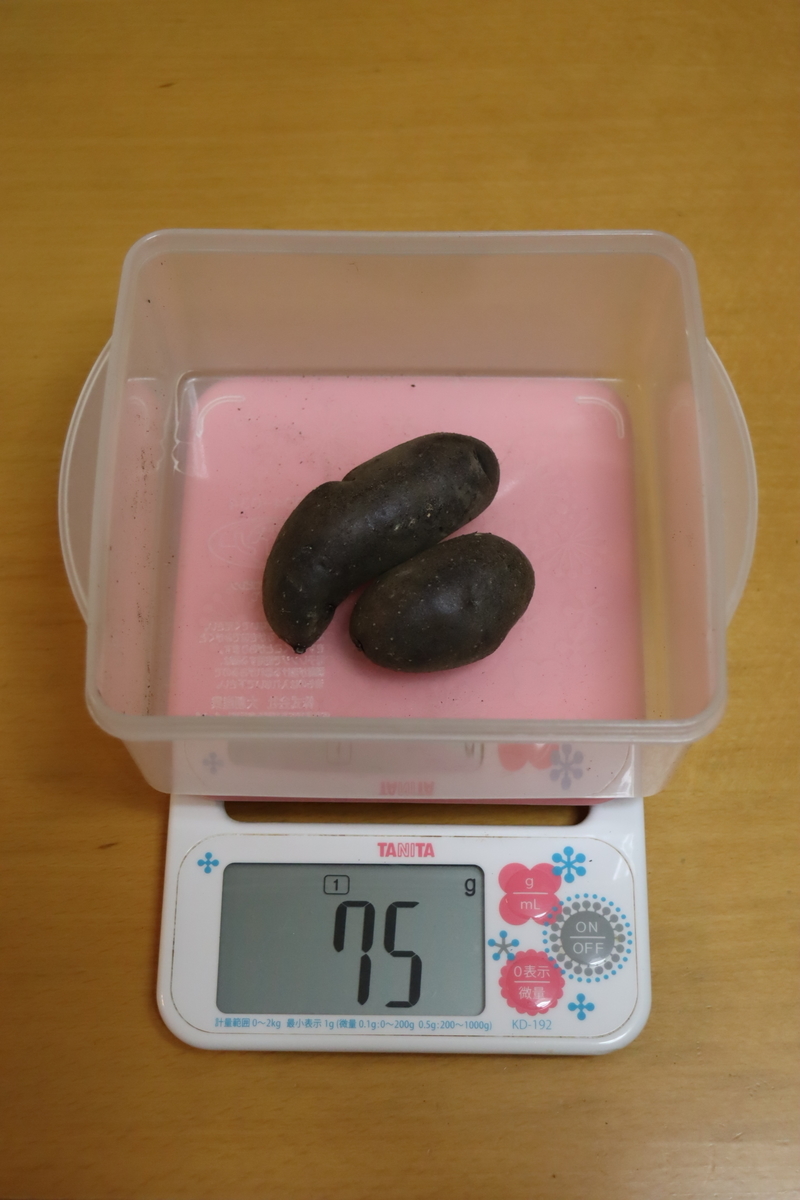 f:id:tomato_1:20220125034231j:plain