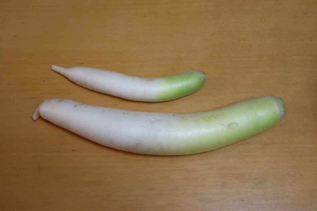 f:id:tomato_1:20220126033113j:plain
