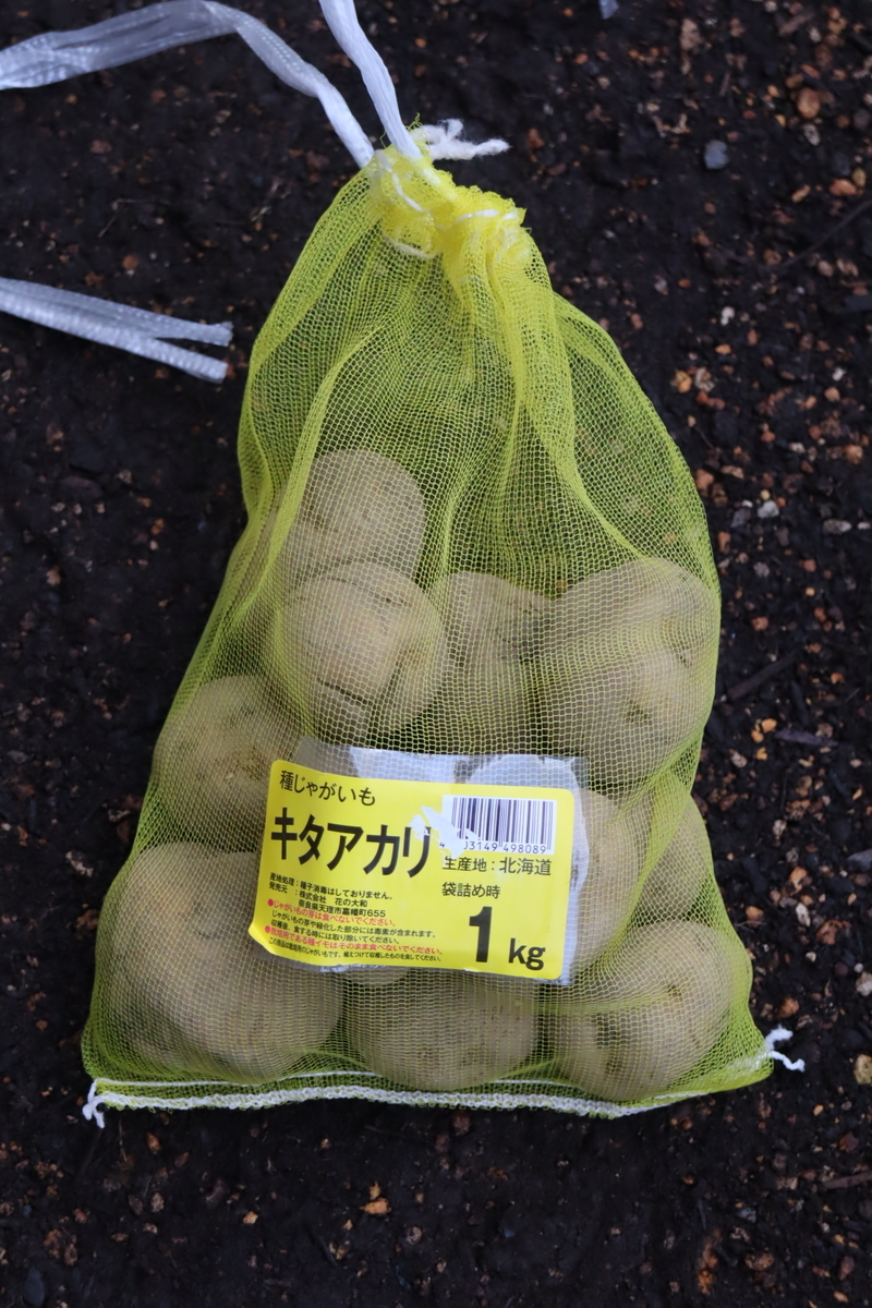 f:id:tomato_1:20220201034848j:plain