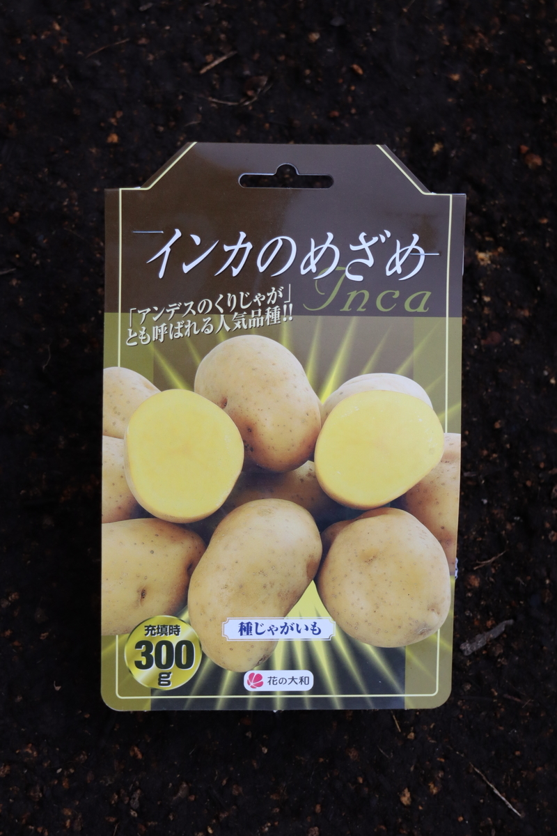 f:id:tomato_1:20220203031732j:plain