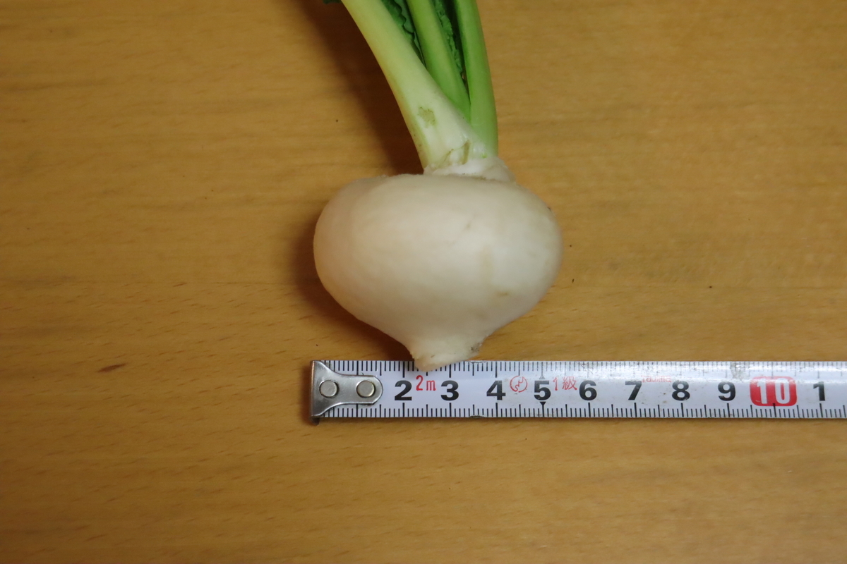 f:id:tomato_1:20220205034234j:plain