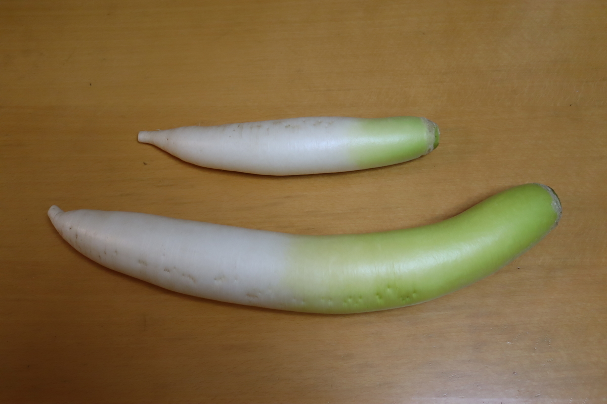 f:id:tomato_1:20220210033640j:plain