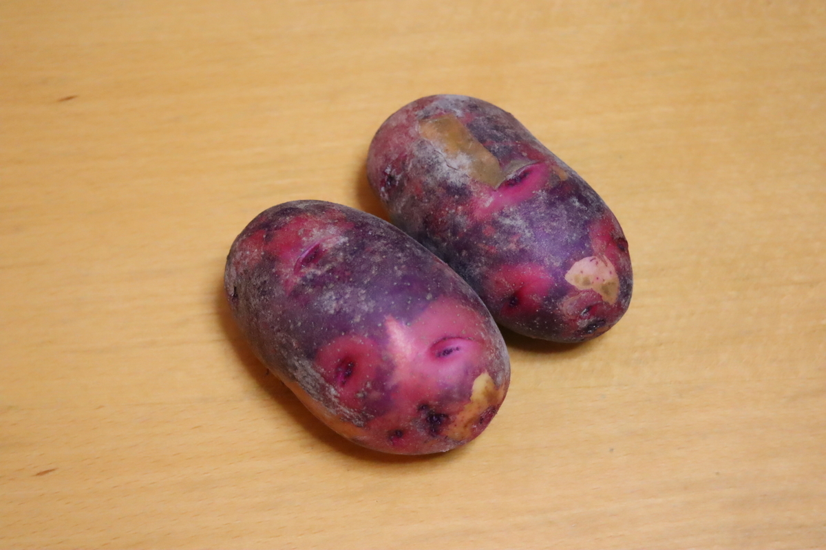 f:id:tomato_1:20220215033953j:plain