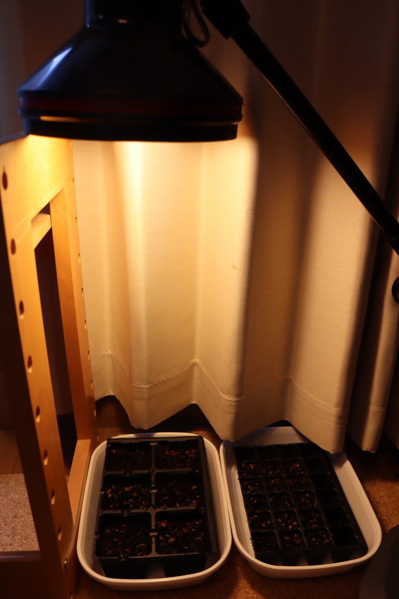f:id:tomato_1:20220227035038j:plain