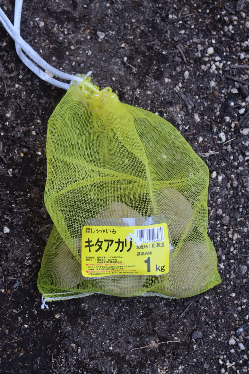 f:id:tomato_1:20220302234535j:plain