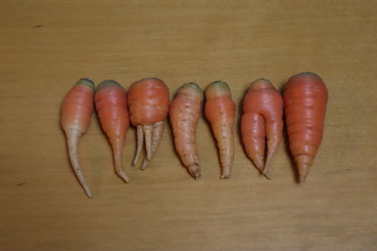 f:id:tomato_1:20220305034831j:plain