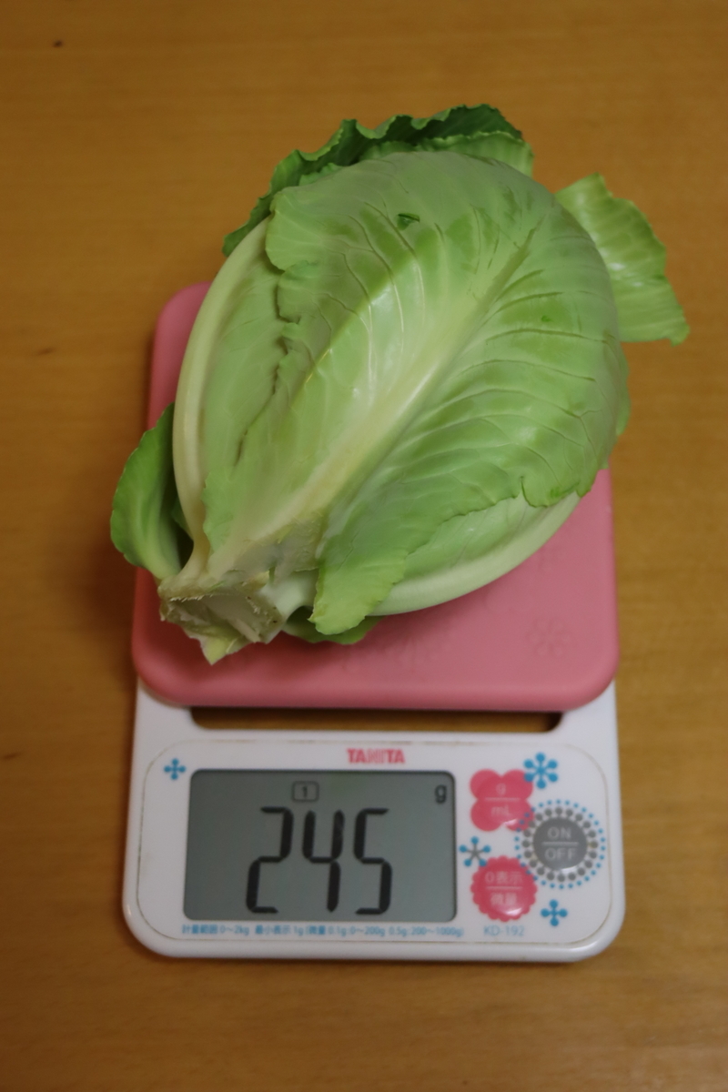 f:id:tomato_1:20220325003701j:plain
