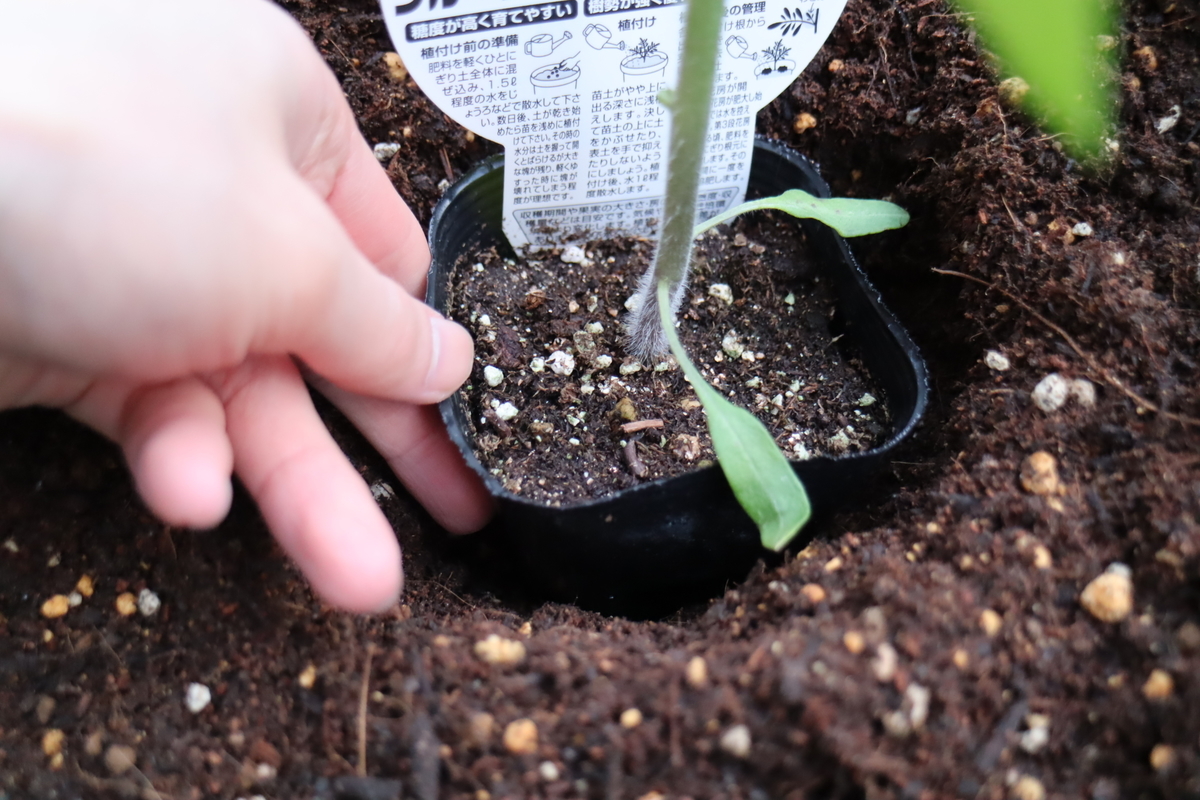f:id:tomato_1:20220331035108j:plain