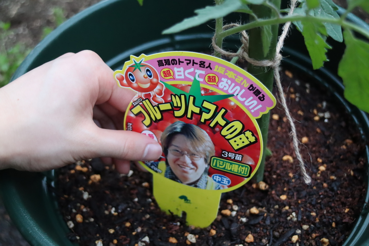 f:id:tomato_1:20220331035344j:plain