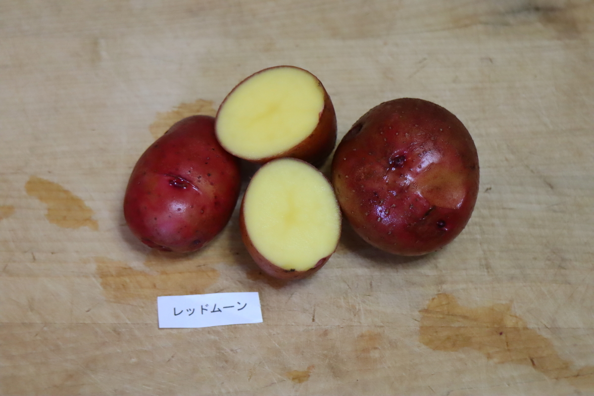 f:id:tomato_1:20220412003348j:plain