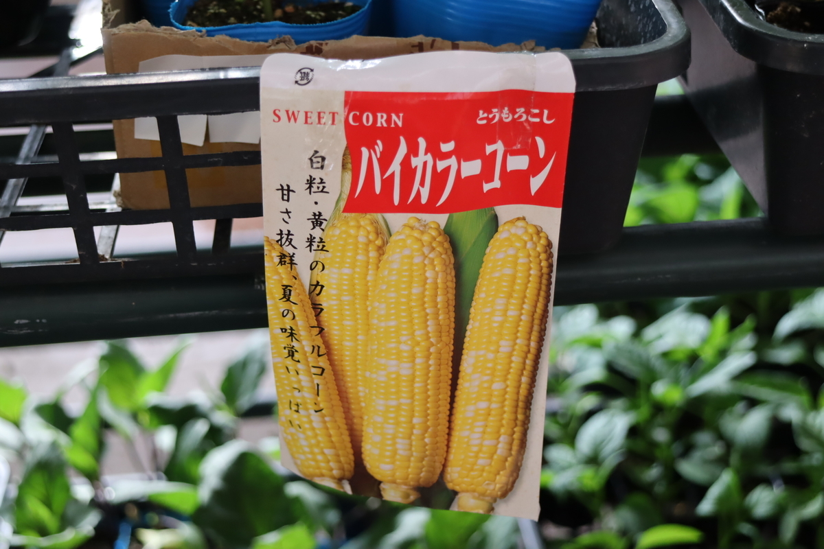 f:id:tomato_1:20220418032111j:plain