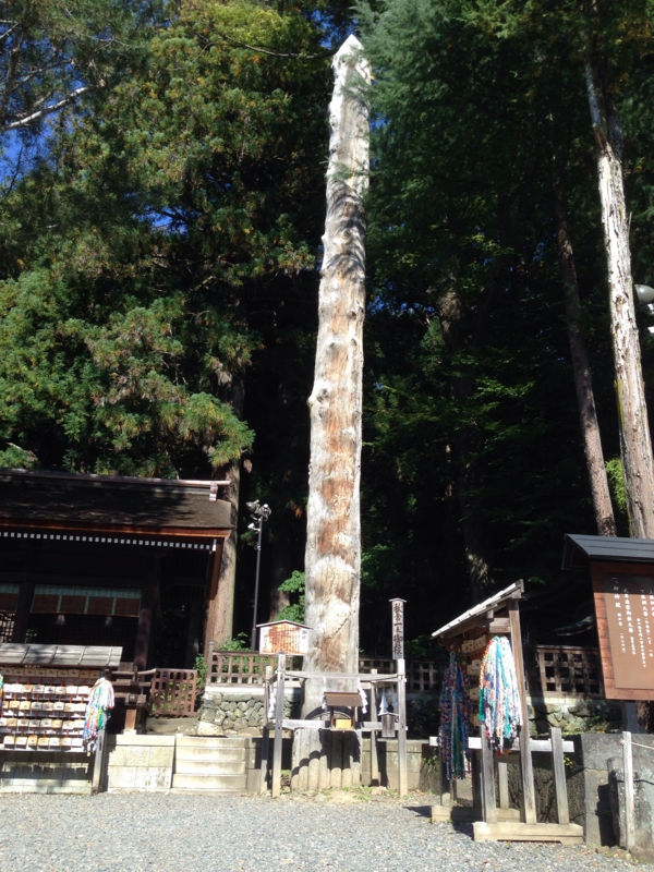 f:id:tomatogarden:20141005223247j:image