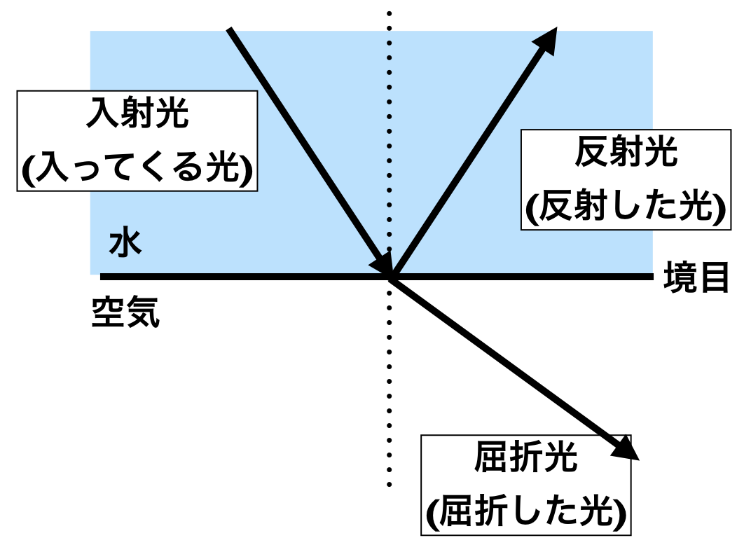 f:id:tomatoha831:20200514150131p:plain