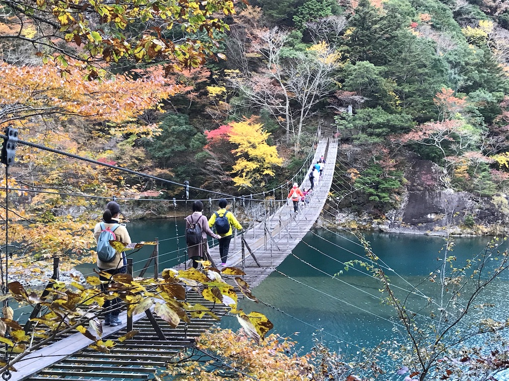 紅葉の寸又峡観光 夢の吊り橋 大井川鉄道sl たのしるブログ