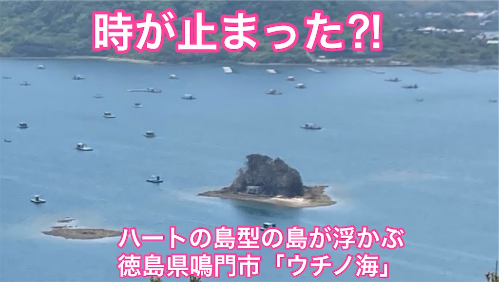 f:id:tomatoma24:20250516074652j:image