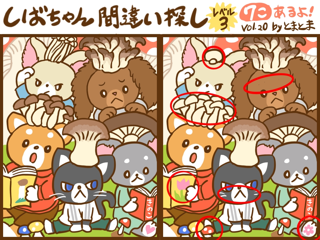 f:id:tomatoma_ma:20211028124602j:plain