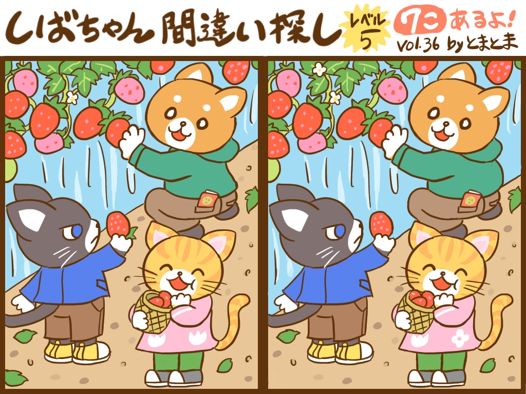 f:id:tomatoma_ma:20211208133814j:plain