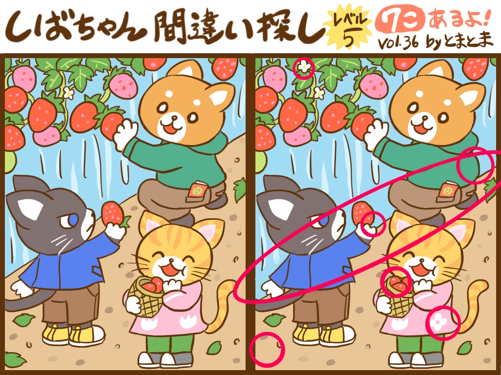 f:id:tomatoma_ma:20211208134436j:plain
