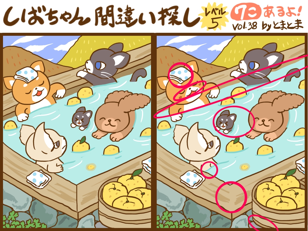 f:id:tomatoma_ma:20220111124504j:plain