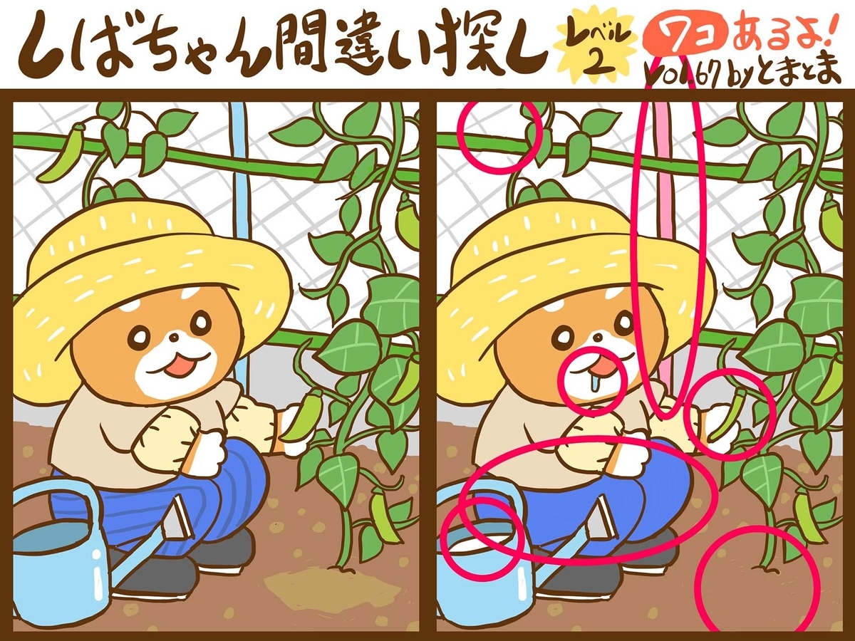 f:id:tomatoma_ma:20220331161545j:plain