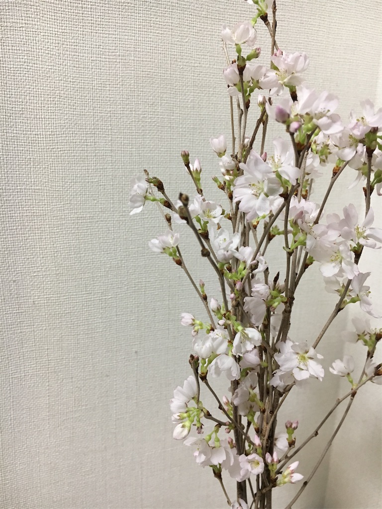 f:id:tomatomoto:20170329002130j:image f:id:tomatomoto:20170329002130j:image