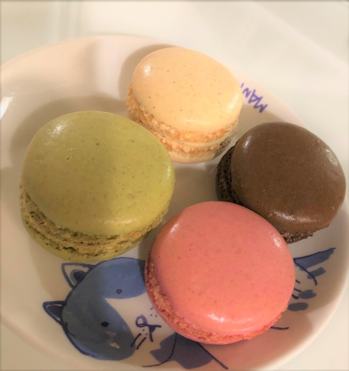 冷凍マカロン サブスクマカロン ピカールとダロワイヨ 美味しいものを少しだけ