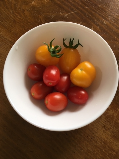 f:id:tomatotopan:20190608201244j:plain